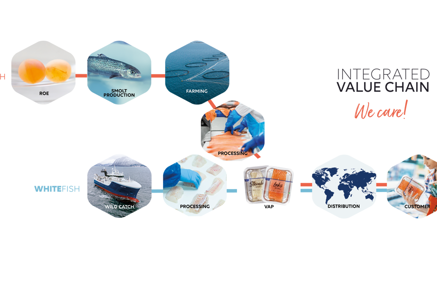 Lerøy value chain illustrated