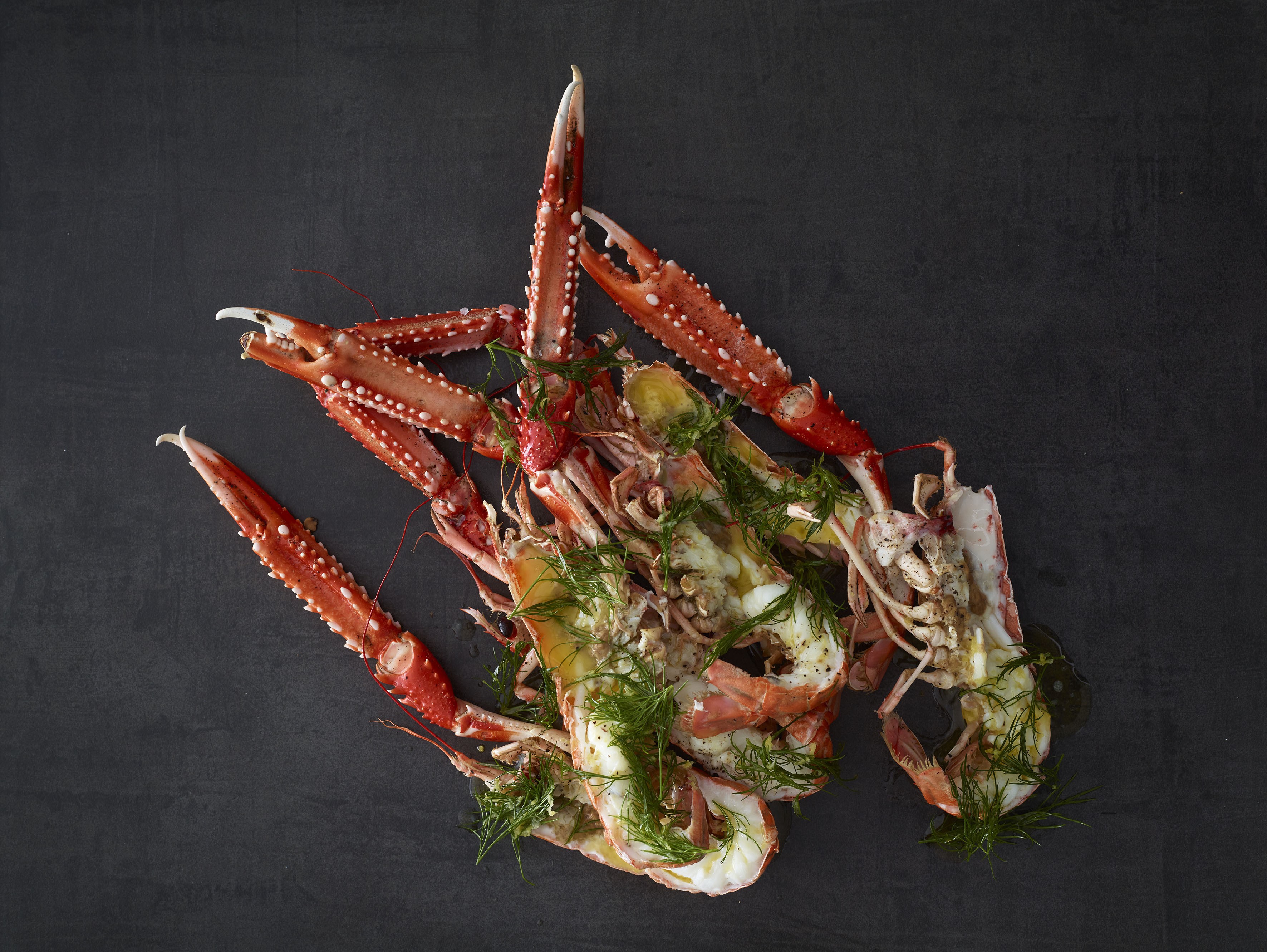 Norwegian Langoustine